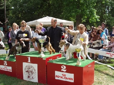 de Vallauris des astucieux - Expo  CACS libourne 15/05/2011