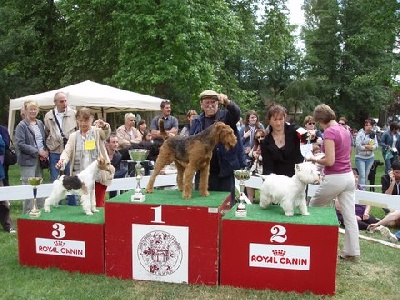 de Vallauris des astucieux - Expo CACS libourne 15/05/2011