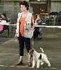 - Marmande Exposition canine internationnale spéciale Fox-terriers
