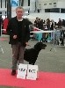  - Bordeaux 14/01/2018 Exposition Canine Internationale
