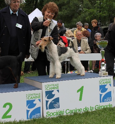 de Vallauris des astucieux - Exposition canine nationale Libourne   12/05/2013